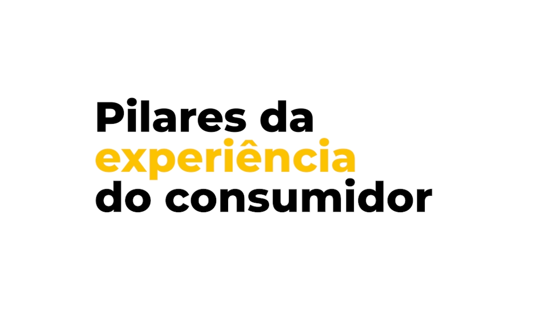 Pilares da experiência do consumidor Forza Comunicação